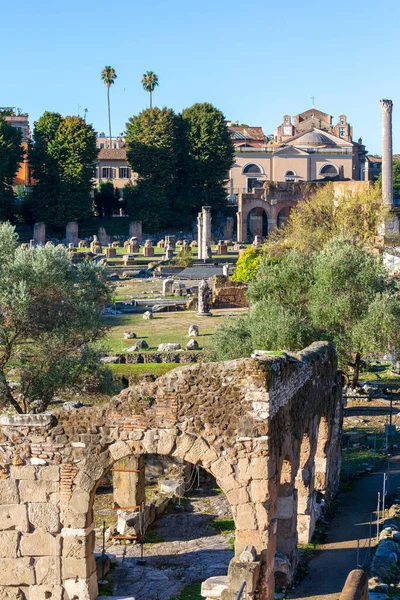 Forum Romanum Kilátás Romok Több Fontos Ősi Épületek Róma Olaszország — Stock Fotó