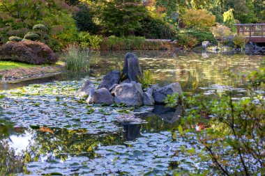 Szczytnicki Park 'taki Japon Bahçesi, egzotik bitkiler, Wroclaw, Polonya. Japon bahçesi 1909-1913 yılları arasında kuruldu.