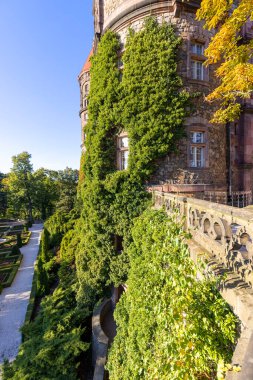 Walbrzych, Polonya - 1 Ekim 2021: Ksiaz Şatosu, ortaçağ gizemli 13. yüzyıl kalesi, Parthenocissus ile kaplanmış yükseklik. Polonya 'nın en büyük üçüncü kalesidir.
