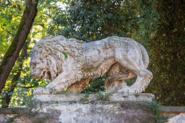 Roma, İtalya - 10 Ekim 2020 Villa Borghese bahçeleri, taş aslan heykeli
