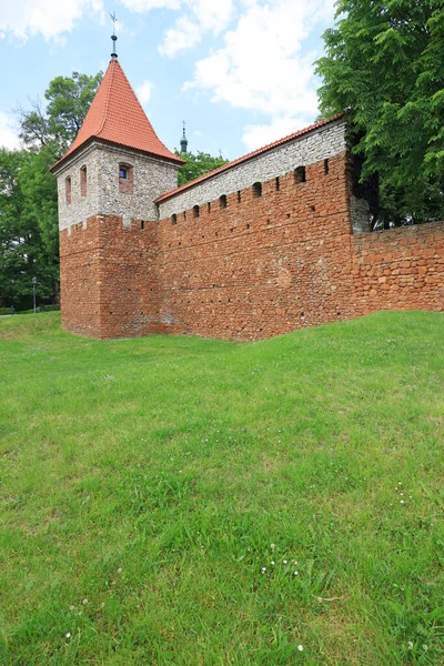 Une Tour Fragment Remparts Xive Siècle Près Cracovie Olkusz Pologne — Photo