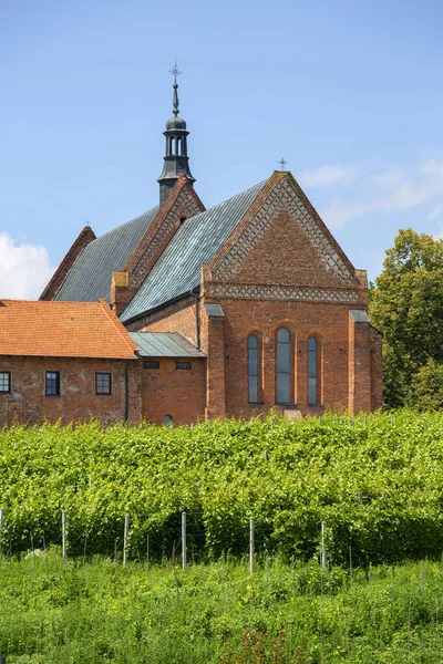 Cihla Století Dominikánský Kostel Klášter Jakuba Klášterní Vinice Sandomierz Polsko — Stock fotografie