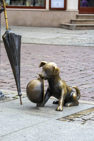 Torun, Polonya - 27 Haziran 2020: Filus ve Profesör Filutek, Polonyalı hicivci Zbigniew Lengren 'in hicivci hikayelerindeki çizgi film karakterlerinin metal figürü. Sahibini bekleyen bir köpek.
