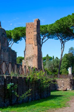 Palatine Hill, birkaç önemli antik binanın kalıntılarının manzarası. Palatine Tepesi, Roma 'nın yedi tepesinin en merkezidir ve Roma, İtalya' nın en eski bölgelerinden biridir.