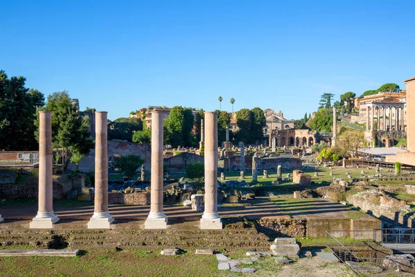 Forum Romanum Вид Руїни Кількох Важливих Стародавніх Будівель Храм Миру — стокове фото