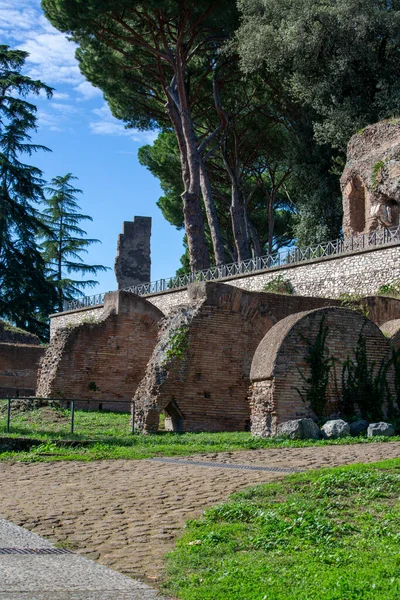 Palatine Hill, birkaç önemli antik binanın kalıntılarının manzarası. Palatine Tepesi, Roma 'nın yedi tepesinin en merkezidir ve Roma, İtalya' nın en eski bölgelerinden biridir.