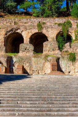 Palatine Hill, birkaç önemli antik binanın kalıntılarının manzarası. Palatine Tepesi, Roma 'nın yedi tepesinin en merkezidir ve Roma, İtalya' nın en eski bölgelerinden biridir.