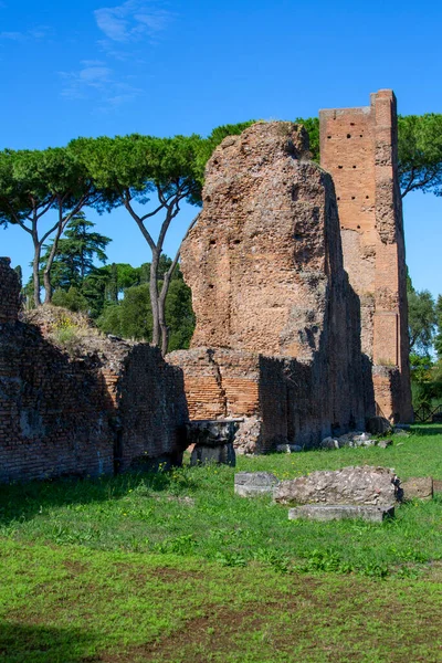 パラチンヒル いくつかの重要な古代の建物の遺跡のビュー パラチンヒルは ローマの7つの丘の中心部であり 市内で最も古代の一部の一つです ローマ イタリア — ストック写真
