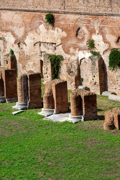パルタインの丘の上にドミニカ共和国のヒッポドローム いくつかの重要な古代の建物の遺跡のビュー イタリアのローマで最も古い都市の一つです — ストック写真
