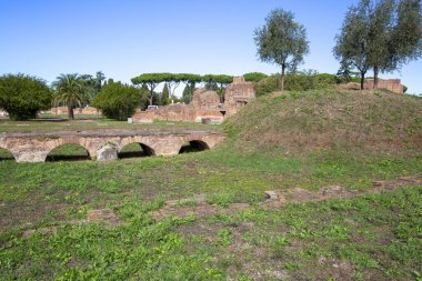 Palatine Hill, birkaç önemli antik binanın kalıntılarının manzarası. Palatine Tepesi, Roma 'nın yedi tepesinin en merkezidir ve Roma, İtalya' nın en eski bölgelerinden biridir.