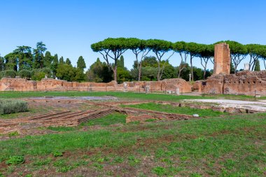 Palatine Hill, birkaç önemli antik binanın kalıntılarının manzarası. Palatine Tepesi, Roma 'nın yedi tepesinin en merkezidir ve Roma, İtalya' nın en eski bölgelerinden biridir.