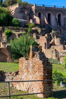Forum Romanum, Roma, İtalya gibi pek çok önemli antik binanın kalıntıları. Antik Roma 'nın ana siyasi, dini ve sosyal merkezi olan şehir merkezidir.