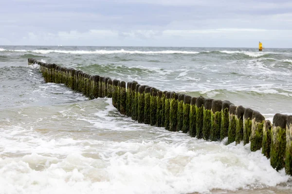 Kustlijn Landschap Schuimig Water Van Oostzee Met Een Houten Golfbreker — Stockfoto