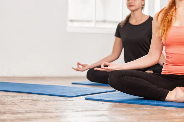 Gençlerin grup köpek egzersiz, Urdhva mukha shvanasana poz, kapalı yakın çekim, Spor Kulübü'nde, çalışma dışarı yogi öğrenciler karşı karşıya kadar yoga yaparken sportif stüdyo. Aktif yaşam tarzı, sağlıklı yaşam konsepti