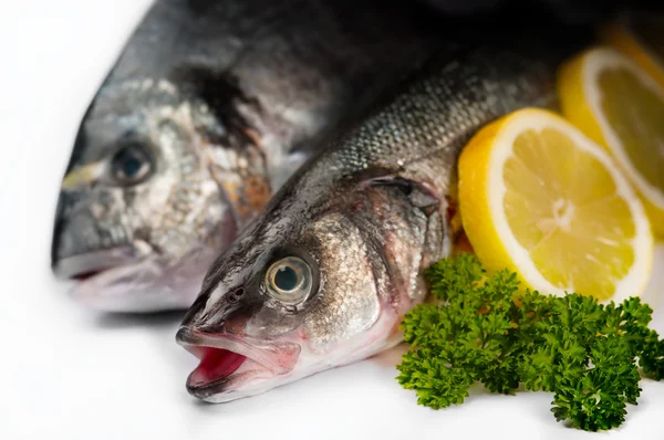 Seafood Fresh fish — Stock Photo, Image