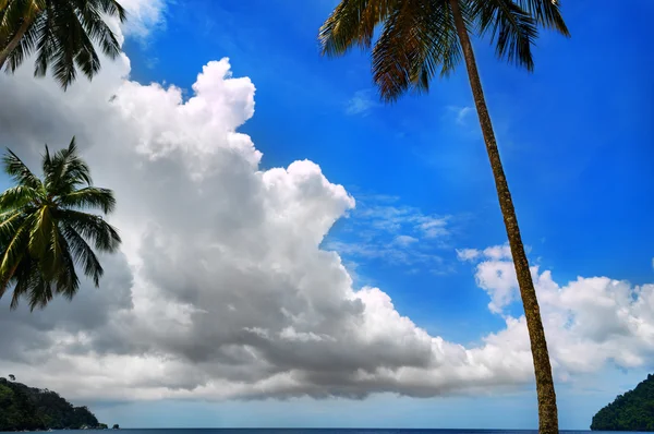 Tropiska sky - trinidad och tobago — Stockfoto