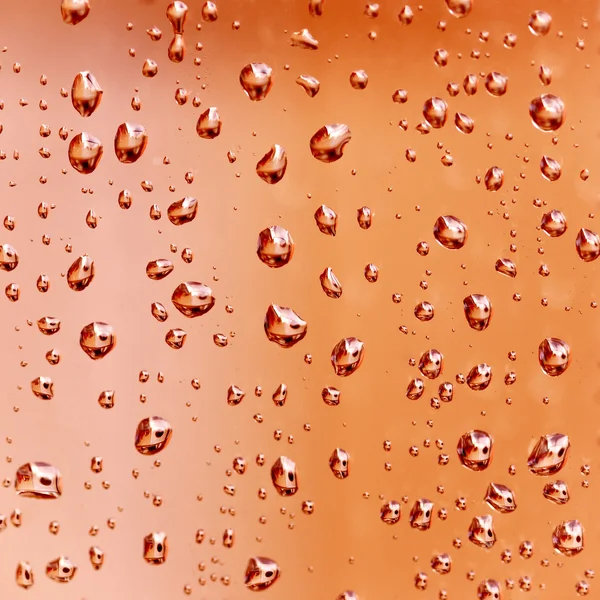 Water droplets background - texture close -up — Stock Photo, Image