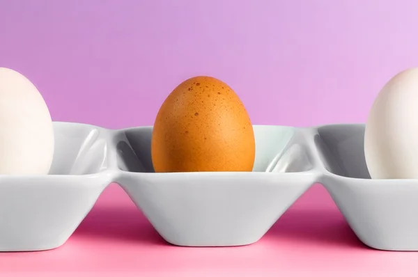 두 오리 계란 중간에 한 닭고기 달걀 — 스톡 사진