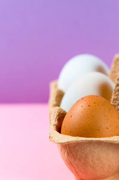 오리 계란과 닭고기 달걀 앞-사이드 보기 — 스톡 사진