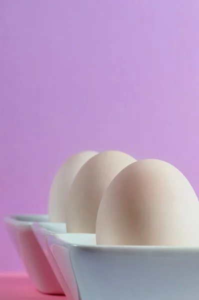 백 자 접시에 3 오리 계란 — 스톡 사진