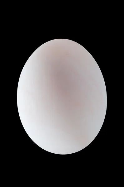 Beyaz ördek yumurta ile kırpma yolunu ve siyah bg — Stok fotoğraf