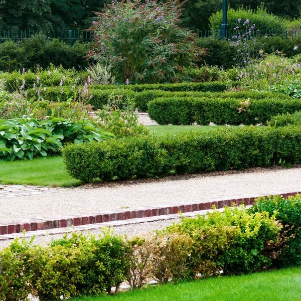 Английский сад и тропинка квадратной композиции — стоковое фото