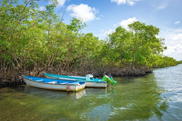 Boot Rusten Mangrove Strand Zee Vissen Tropisch Tobago Ontspannen Uitzicht — Stockfoto