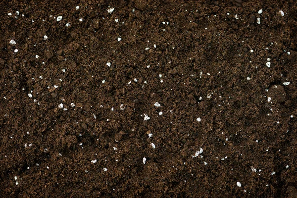 Organic compost soil natural pro mix manure green waste nourishing with perlites texture