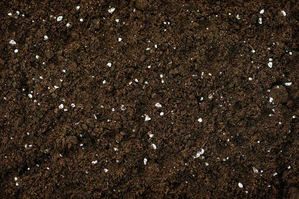 Organic Compost Soil Natural Pro Mix Manure Green Waste Nourishing Royalty Free Stock Images