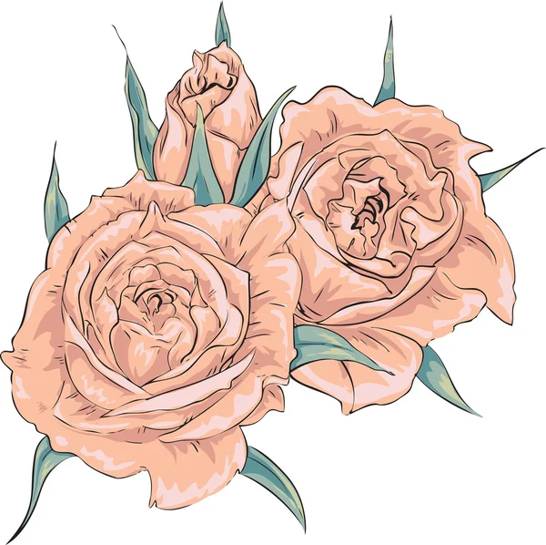 Roses tendres . — Image vectorielle