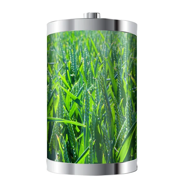 Batería campo de trigo — Foto de Stock