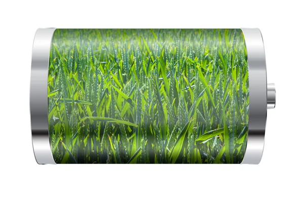 Buğday alan pil — Stok fotoğraf