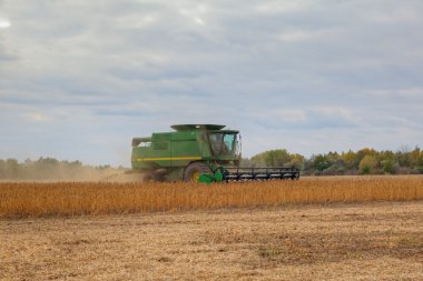 soya hasadı