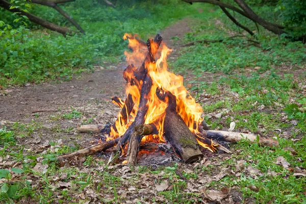 Κατασκήνωση Φωτιά — Φωτογραφία Αρχείου