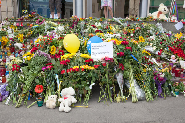 Bewailing the Boeing 777 shot down