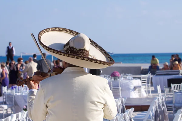 Mariachi sångare spelar violin Stockfoto