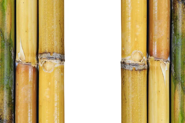Belo fundo de bambu japonês — Fotografia de Stock
