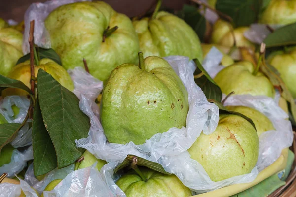 Färska guava — Stockfoto