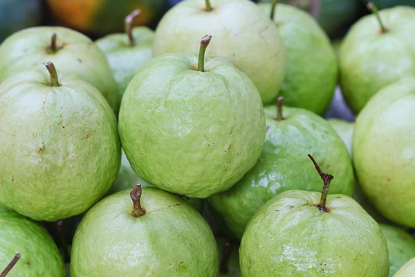 Taze guavalar. — Stok fotoğraf