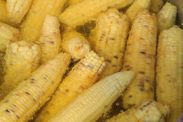 Mais kocht im Topf — Stockfoto