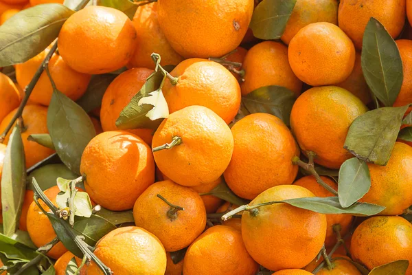 Verse organische sinaasappelen op display op zonnige dag. — Stockfoto