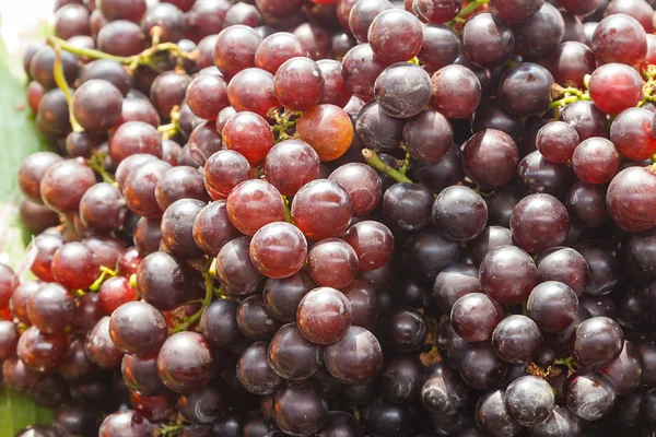 Frische lila Traubenfrüchte, die auf dem Markt verkauft werden. — Stockfoto