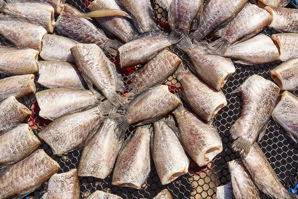 판매 시장, 태국에 말린된 물고기 — 스톡 사진