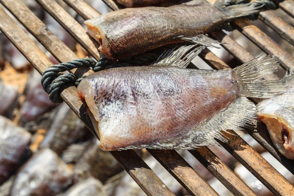 Pesci secchi sul mercato di vendita, Thailandia — Foto Stock