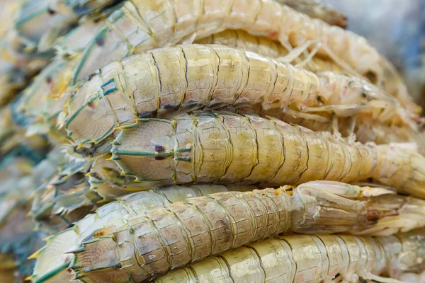 Gamberetti Mantis con ghiaccio nel mercato fresco in Thailandia — Foto Stock