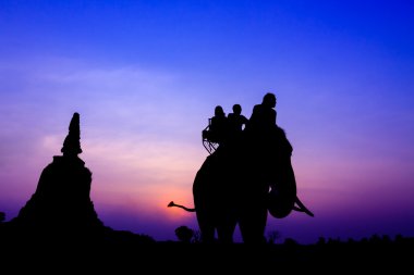 Silhouette of elephants in Ayutthaya thailand. clipart