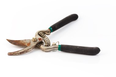 Beyaz backg izole kesme dalları için Bahçe secateurs