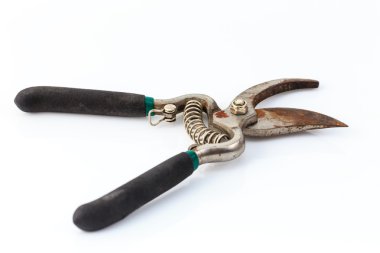 Beyaz backg izole kesme dalları için Bahçe secateurs