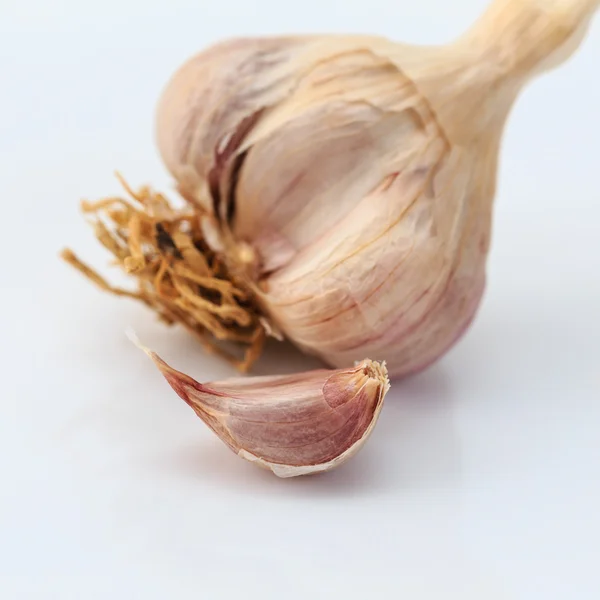 Fresh garlic isolated on white — Stock Photo, Image