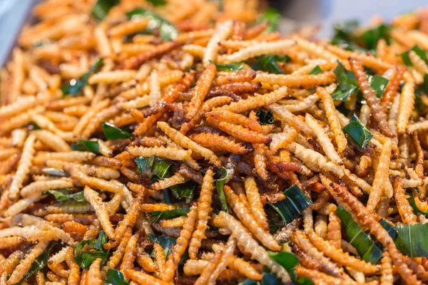 Thai food at market. Fried insects mealworms for snack — Stock Photo, Image